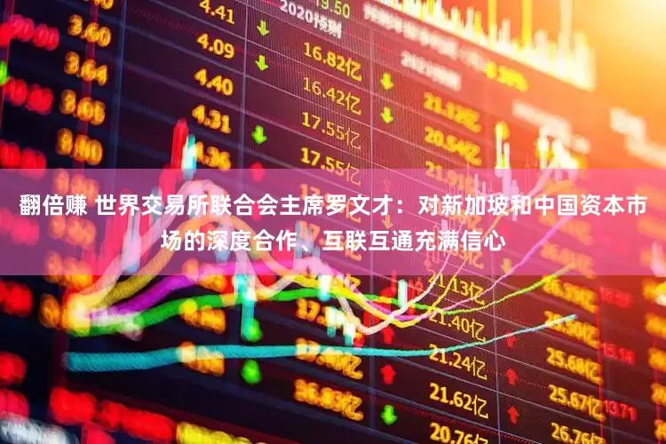 翻倍赚 世界交易所联合会主席罗文才：对新加坡和中国资本市场的深度合作、互联互通充满信心