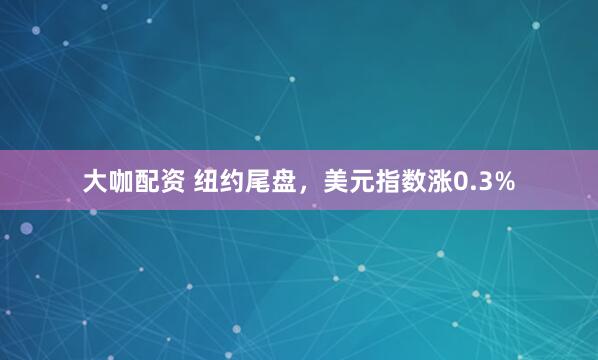 大咖配资 纽约尾盘，美元指数涨0.3%